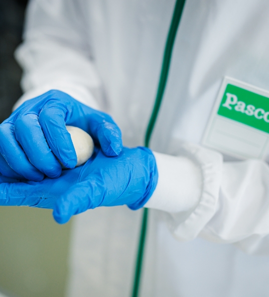Pasco